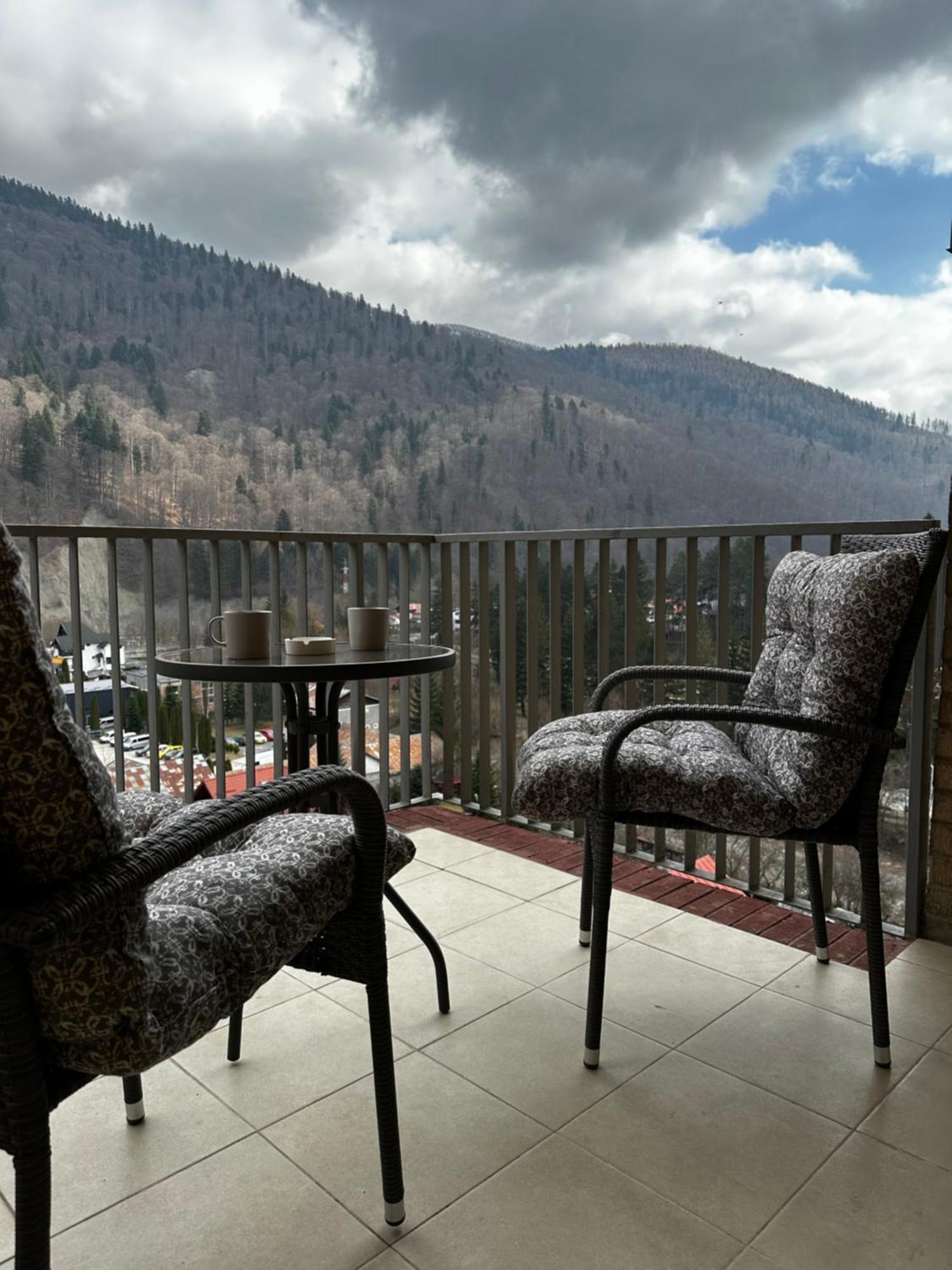 Colette Studio Belleview Sinaia Eksteriør bilde
