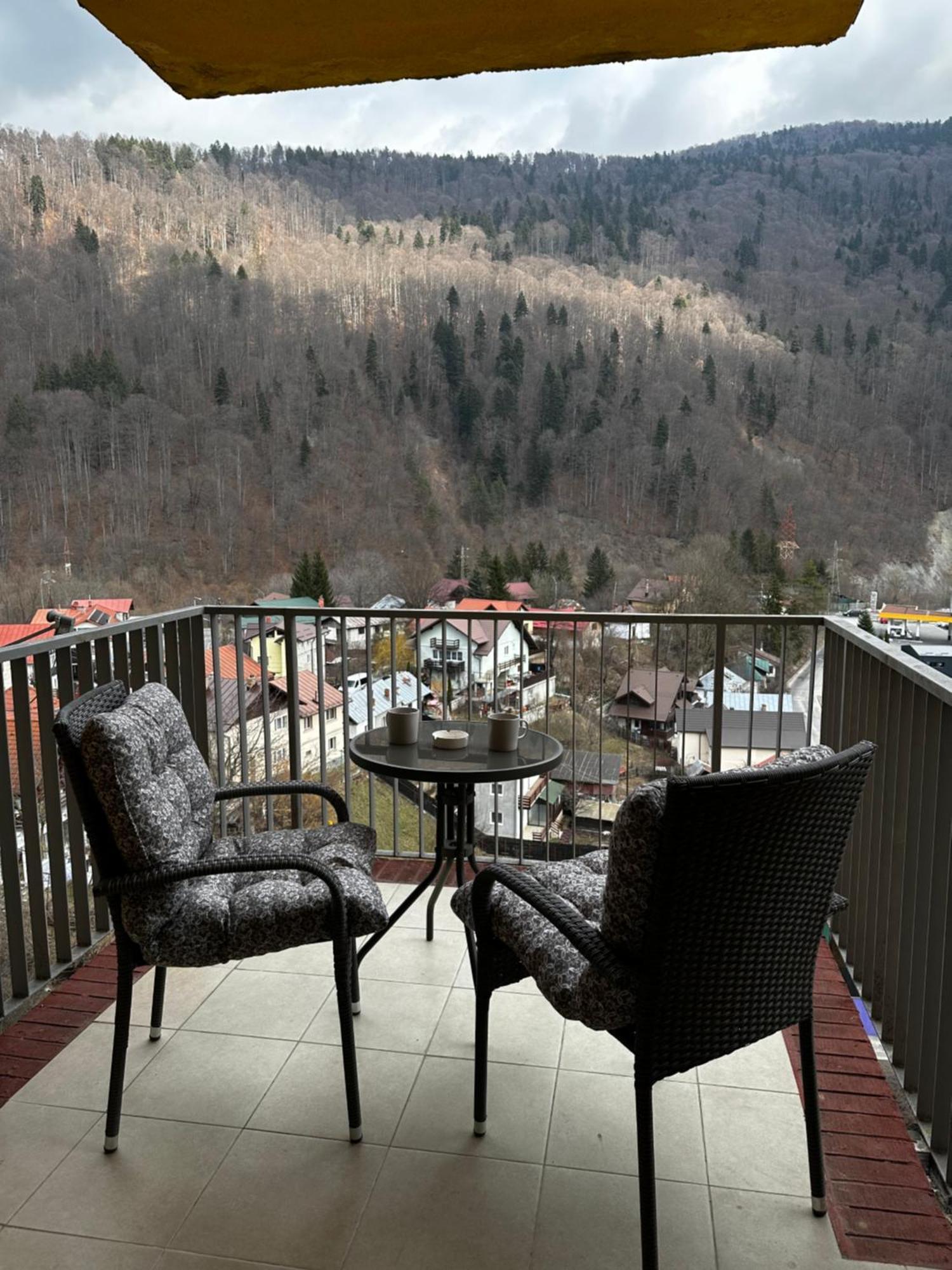 Colette Studio Belleview Sinaia Eksteriør bilde