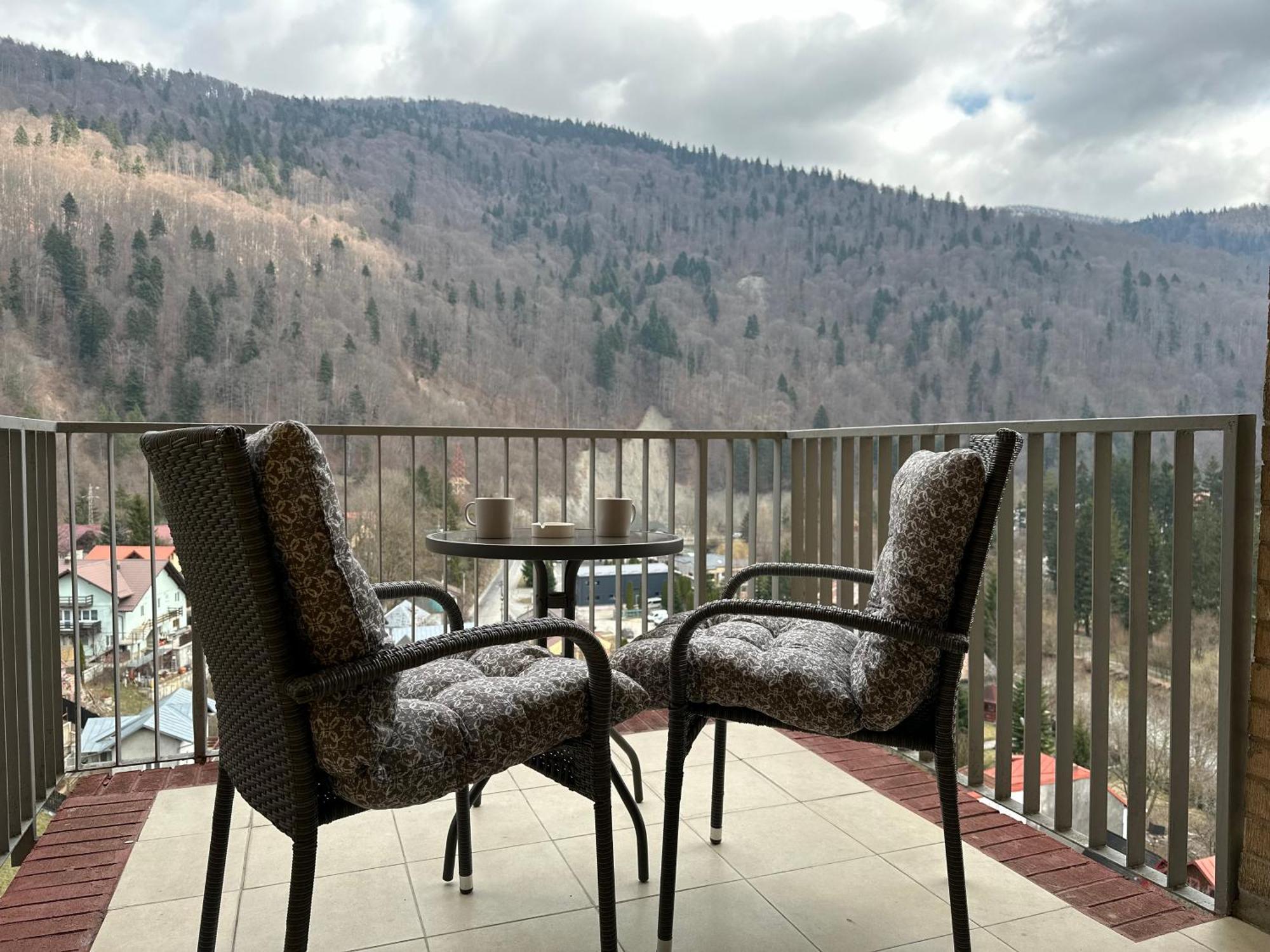 Colette Studio Belleview Sinaia Eksteriør bilde